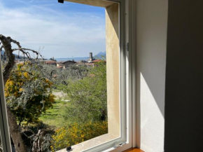 Villa Carrera
